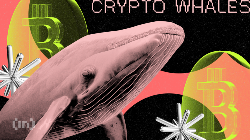 Retail Investors Buy the Dip While Crypto Whale Sells Over $400 Million in Bitcoin (BTC)